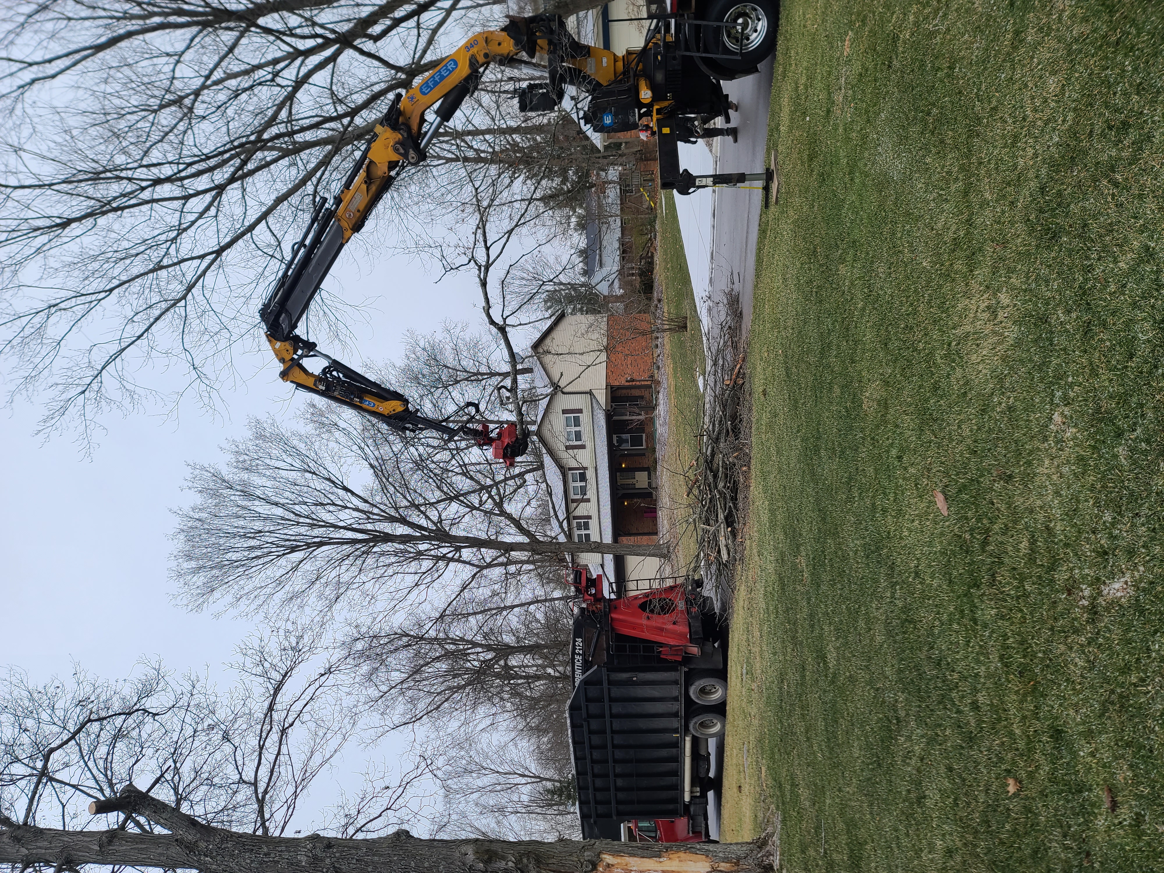 Brush and debris cleanup services. Professional results every time! #BrushCleanup #LandClearing #Professional