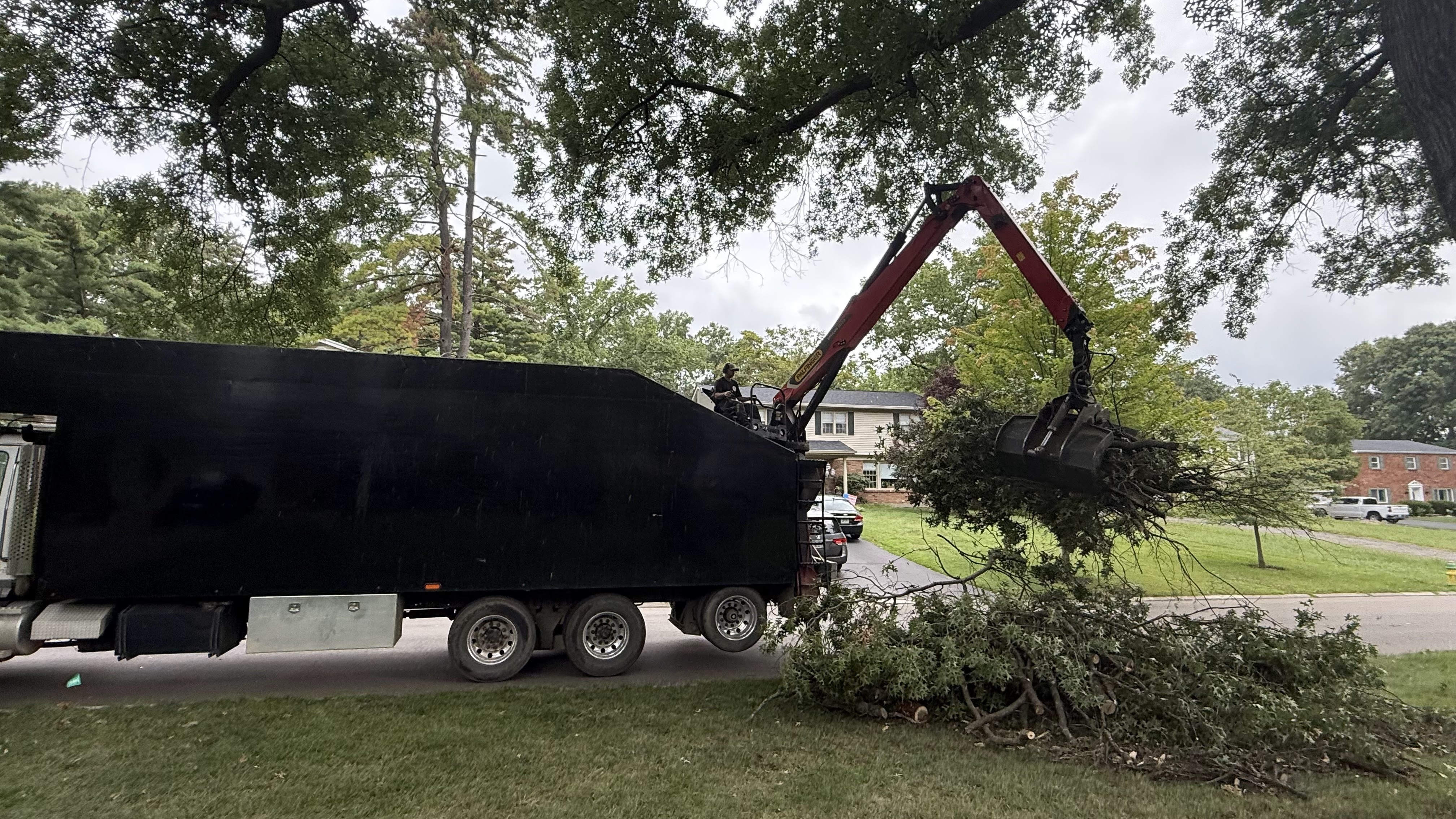 Complete cleanup after tree removal. We leave your property spotless! #Cleanup #ProfessionalService #TreeRemoval