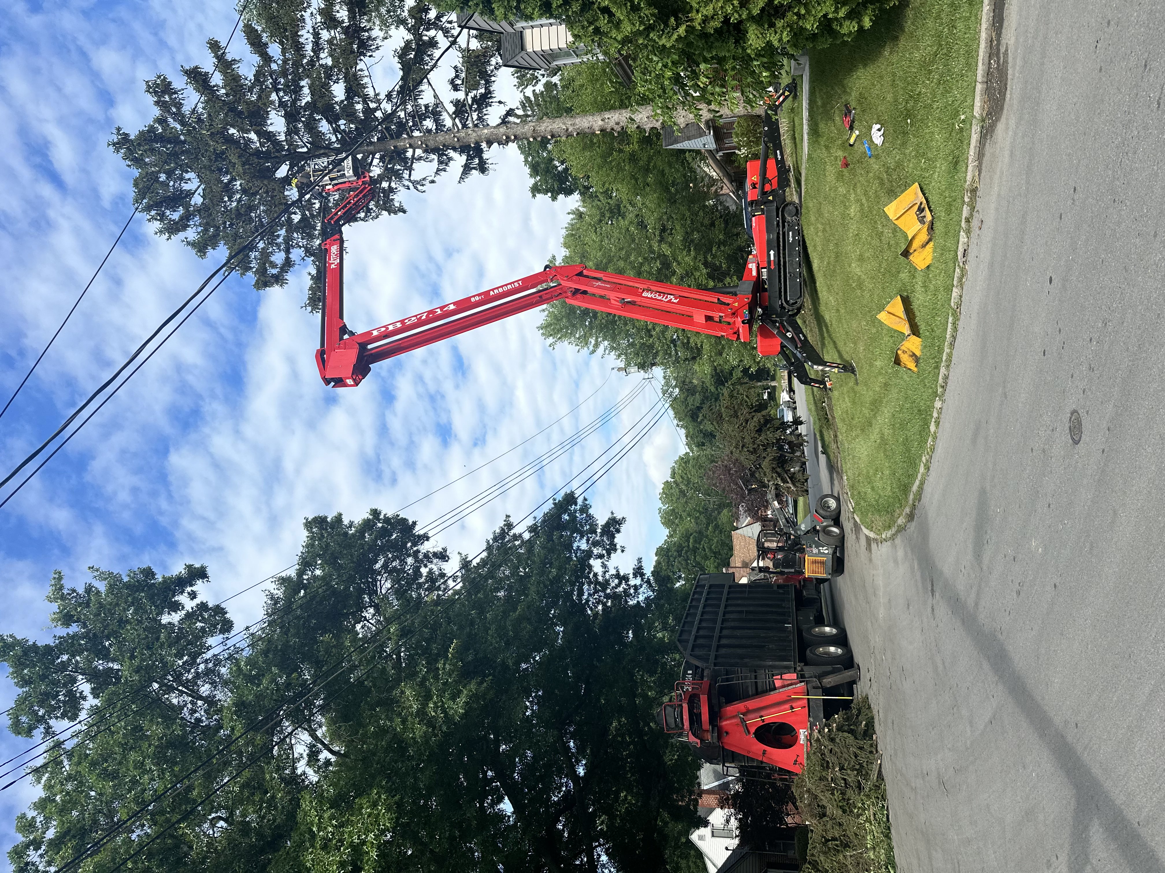 Professional crane-assisted tree removal in action! Our team safely removes large trees using state-of-the-art equipment. #TreeRemoval #CraneWork #Professional